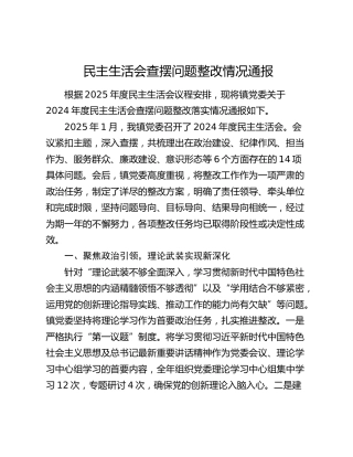 民主生活会查摆问题整改情况通报
