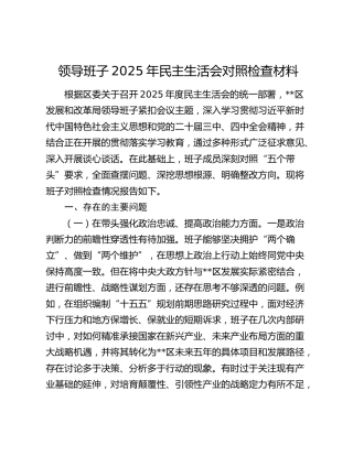 领导班子2025年民主生活会对照检查材料（五个带头）