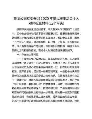 集团公司党委书记2025年度民主生活会个人对照检查材料(五个带头)