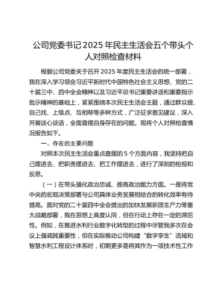 公司党委书记2025年民主生活会五个带头个人对照检查材料（五个带头）