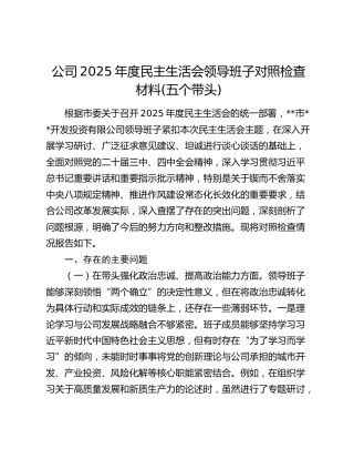 公司2025年度民主生活会领导班子对照检查材料(五个带头)