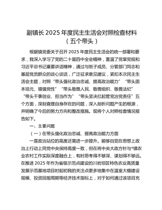副镇长2025年度民主生活会对照检查材料（五个带头）