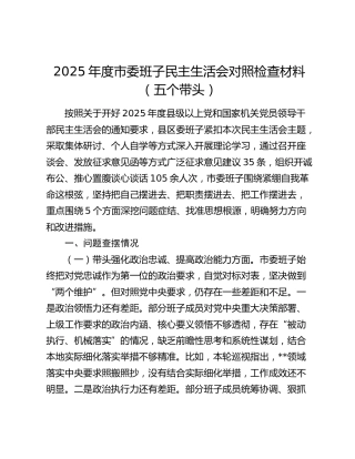 2025年度市委班子民主生活会对照检查材料（五个带头）