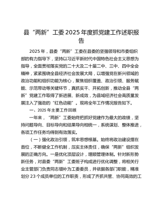 县“两新”工委2025年度抓党建工作述职报告