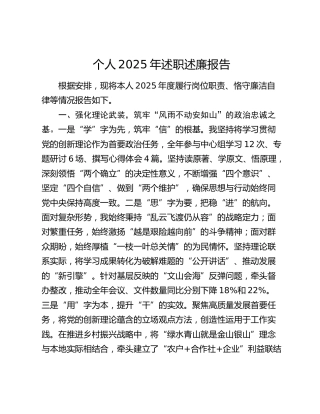 个人2025年述职述廉报告