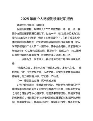 2025年度个人德能勤绩廉述职报告