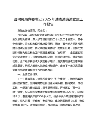 县税务局党委书记2025年述责述廉述党建工作报告