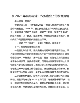 在2026年县局党建工作务虚会上的发言提纲