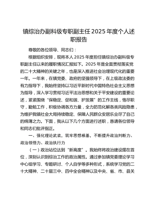 镇综治办副科级专职副主任2025年度个人述职报告