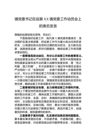 镇党委书记在巡察XX镇党委工作动员会上的表态发言