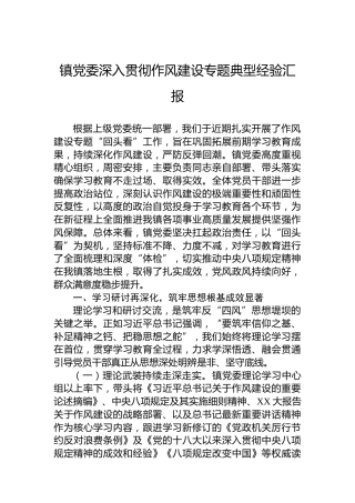 镇党委深入贯彻作风建设专题典型经验汇报