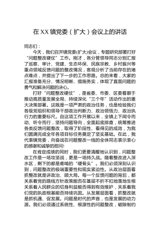 在XX镇党委（扩大）会议上的讲话