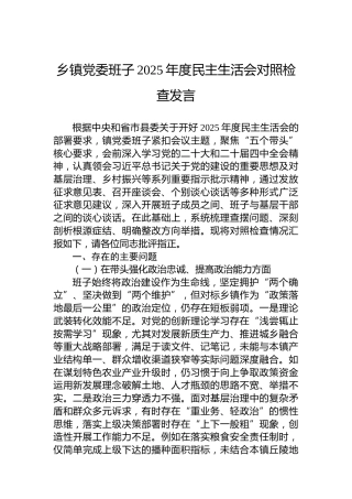 乡镇党委班子2025年度民主生活会对照检查发言