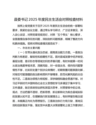 县委书记2025年度民主生活会对照检查材料（五个带头）