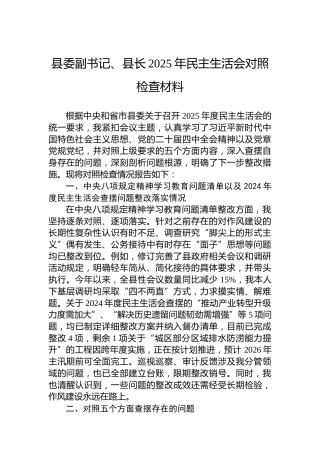 县委副书记、县长2025年民主生活会对照检查材料