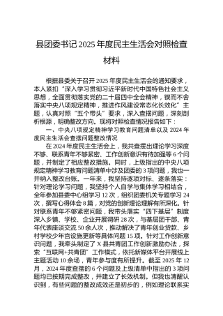 县团委书记2025年度民主生活会对照检查材料