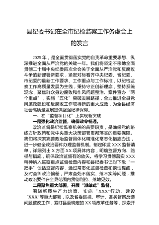 县纪委书记在全市纪检监察工作务虚会上的发言