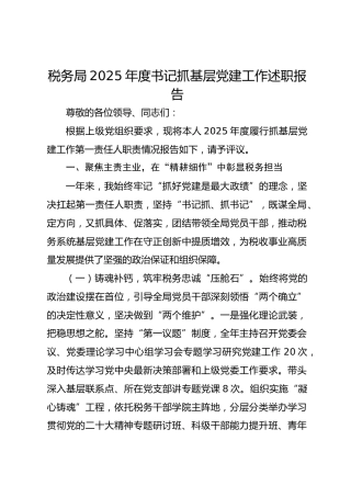 税务局2025年度书记抓基层党建工作述职报告