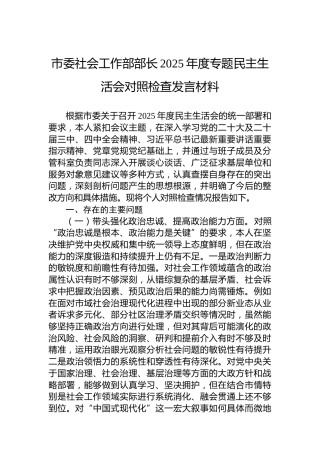 市委社会工作部部长2025年度专题民主生活会对照检查发言材料