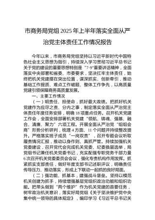 市商务局党组2025年上半年落实全面从严治党主体责任工作情况报告