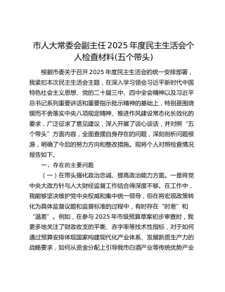 市人大常委会副主任2025年度民主生活会个人检查材料(五个带头)