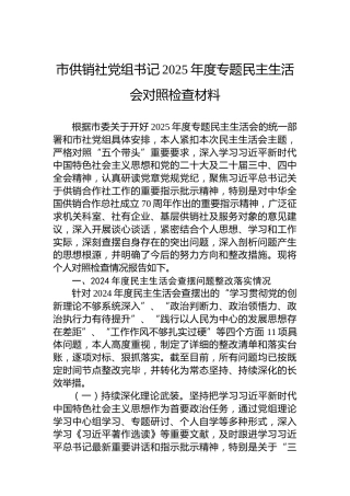 市供销社党组书记2025年度专题民主生活会对照检查材料
