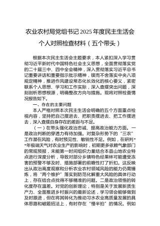 农业农村局党组书记2025年度民主生活会个人对照检查材料（五个带头）