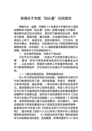 某镇关于专题“回头看”总结报告