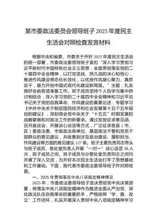 某市委政法委员会领导班子2025年度民主生活会对照检查发言材料