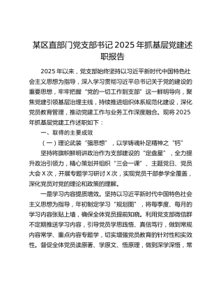 某区直部门党支部书记2025年抓基层党建述职报告