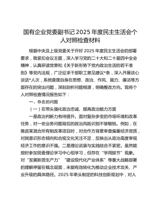 国有企业党委副书记2025年度民主生活会个人对照检查材料（五个带头）