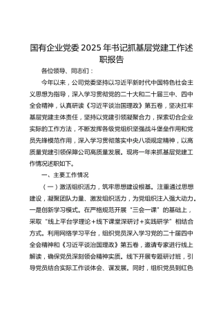 国有企业党委2025年书记抓基层党建工作述职报告