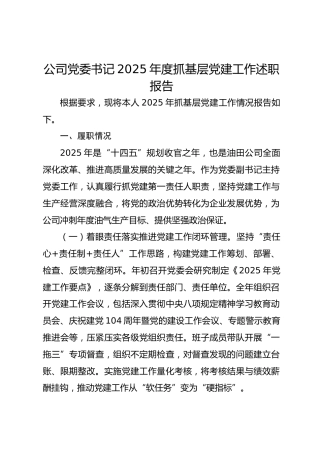 公司党委书记2025年度抓基层党建工作述职报告