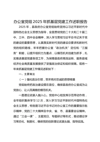 办公室党组2025年抓基层党建工作述职报告
