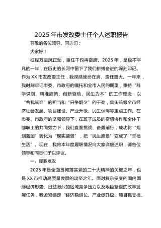 2025年x市发改委主任个人述职报告