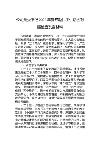公司党委书记2025年度专题民主生活会对照检查发言材料