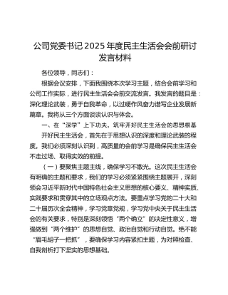 公司党委书记2025年度民主生活会会前研讨发言材料