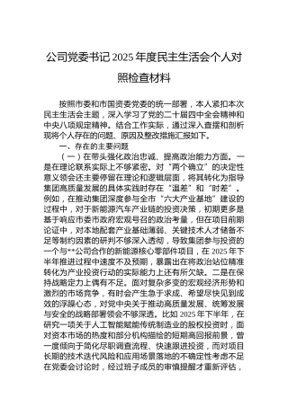 公司党委书记2025年度民主生活会个人对照检查材料