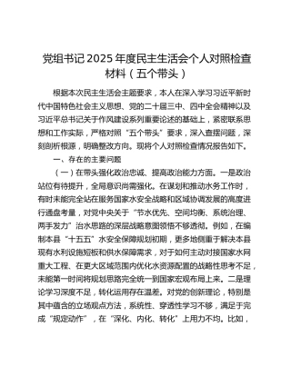 党组书记2025年度民主生活会个人对照检查材料（五个带头）