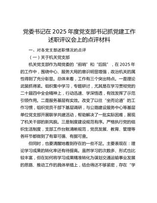 党委书记在2025年度党支部书记抓党建工作述职评议会上的点评材料