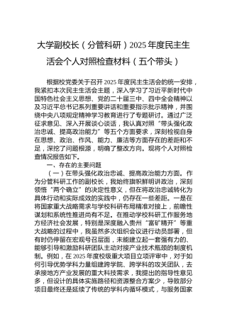 大学副校长（分管科研）2025年度民主生活会个人对照检查材料（五个带头）