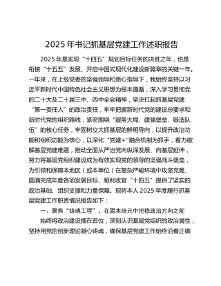 2025年书记抓基层党建工作述职报告