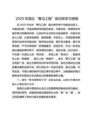 2025年国企“青马工程”培训班学习感悟