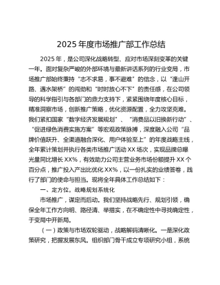 2025年度市场推广部工作总结