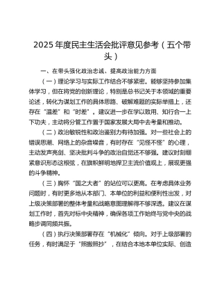 2025年度民主生活会批评意见参考（五个带头）