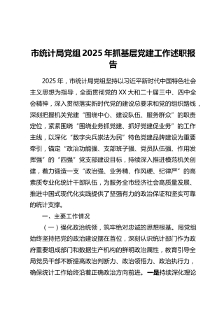 市统计局党组2025年抓基层党建工作述职报告（2）