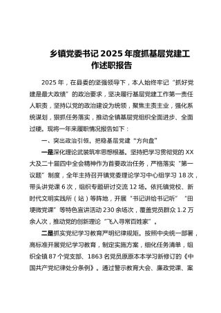 乡镇党委书记2025年度抓基层党建工作述职报告_1