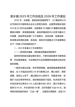 某乡镇2025年工作总结及2026年工作谋划