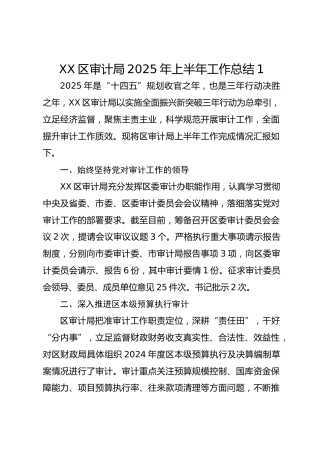 xx区审计局2025年上半年工作总结1