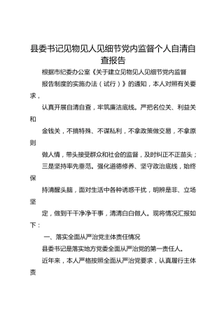 县委书记见物见人见细节党内监督个人自清自查报告